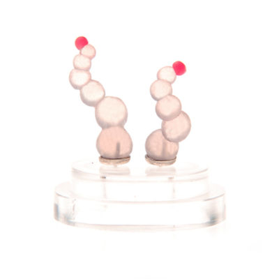 squirts, ear squirts, silicone jewellery, jenny llewellyn, silicon, studs, earrings