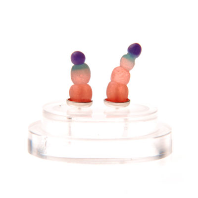 squirts, ear squirts, silicone jewellery, jenny llewellyn, silicon, studs, earrings