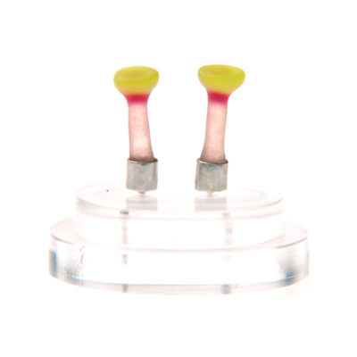 squirts, ear squirts, silicone jewellery, jenny llewellyn, silicon, studs, earrings