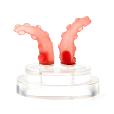 squirts, ear squirts, silicone jewellery, jenny llewellyn, silicon, studs, earrings