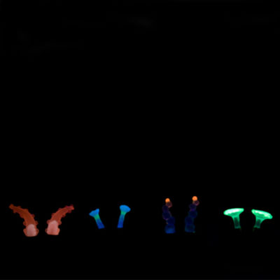 squirts, ear squirts, silicone jewellery, jenny llewellyn, silicon, studs, earrings, glow in the dark, uv