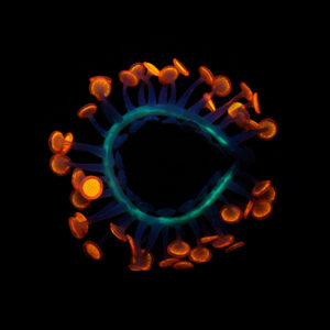 lumini, phosphorescent, luminescent, silicone, silicone jewellery, silicon, jenny llewellyn, jenny llewellyn jewellery, jewellery